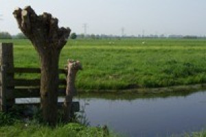 PvdA ZH: uniek polderlandschap Groene Hart beter beschermen