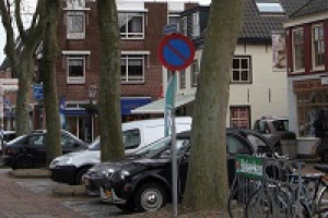 Verhit debat over platanen op Stolwijks Dorpsplein